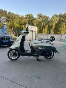 PEUGEOT DJANGO CLASSIC GENTLE — из Китая под ключ