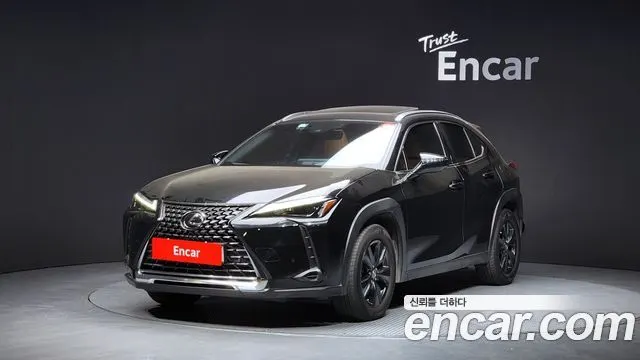 LEXUS UX250H 2024