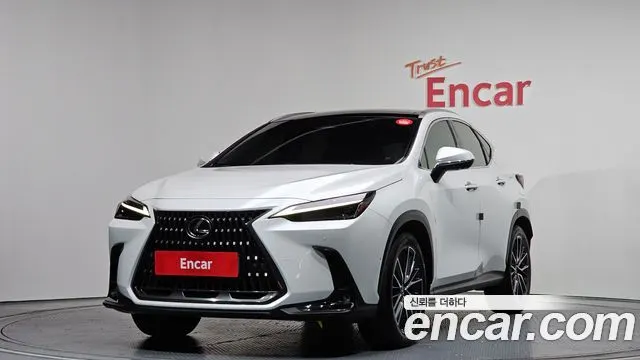 LEXUS NX350H 2024