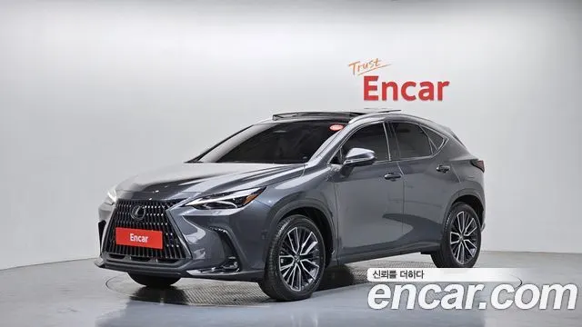 LEXUS NX350H 2025
