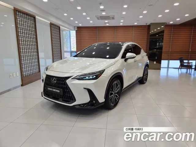LEXUS NX350H 2024