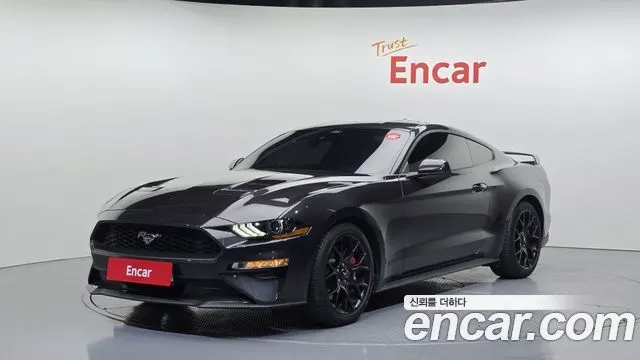FORD MUSTANG — из Кореи под ключ