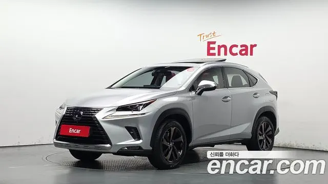 LEXUS NX300H 2019 — 99 544 км, серебристый, Корея — под ключ — фото 1