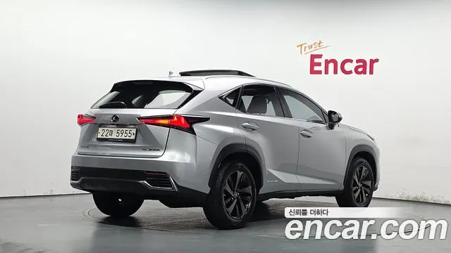 LEXUS NX300H 2019 — 99 544 км, серебристый, Корея — под ключ — фото 2