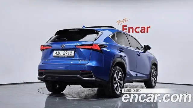 LEXUS NX300H 2019 — 22 644 км, синий, Корея — под ключ — фото 2