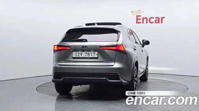 LEXUS NX300H 2019 — 83 901 км, серебристо-серый, Корея — под ключ — фото 4