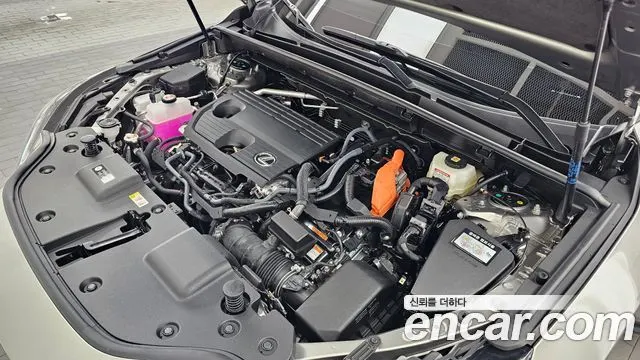 LEXUS NX350H 2025 — 1 178 км, серебристо-серый, Корея — под ключ — фото 6