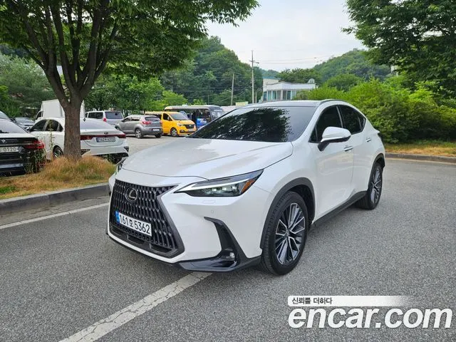 LEXUS NX350H 2024 — 18 462 км, белый, Корея — под ключ — фото 1