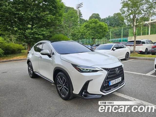 LEXUS NX350H 2024 — 18 462 км, белый, Корея — под ключ — фото 4