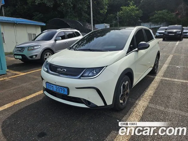 BYD DOLPHIN — из Кореи под ключ