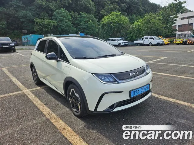 BYD DOLPHIN 2026 — 20 км, белый-перламутр, Корея — под ключ — фото 2