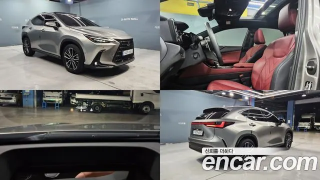 LEXUS NX350H 2025