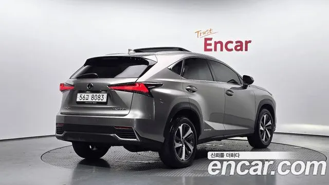 LEXUS NX300H 2019 — 128 692 км, серебристо-серый, Корея — под ключ — фото 1