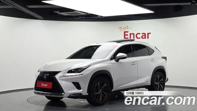 LEXUS NX300H 2019