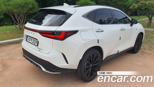 LEXUS NX450H+ 2025 — 18 000 км, белый, Корея — под ключ — фото 2