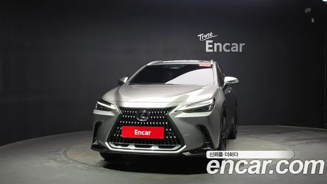LEXUS NX350H 2025 — 12 184 км, светло-золотистый, Корея — под ключ — фото 3