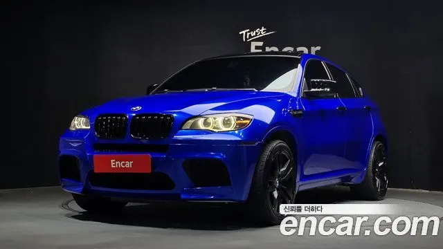 BMW X6M 2010