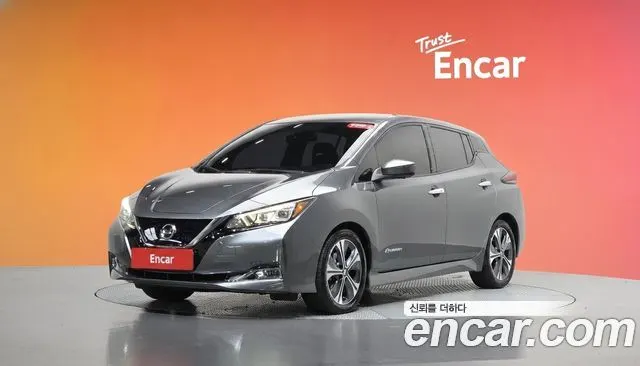 NISSAN LEAF 2019 — 91 225 км, серый, Корея — под ключ — фото 2