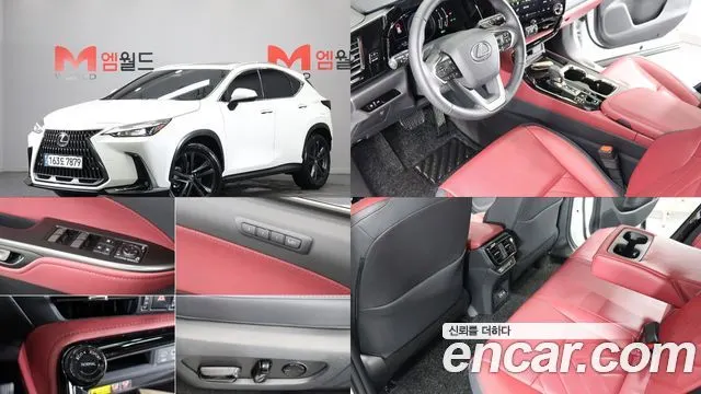 LEXUS NX350H 2025