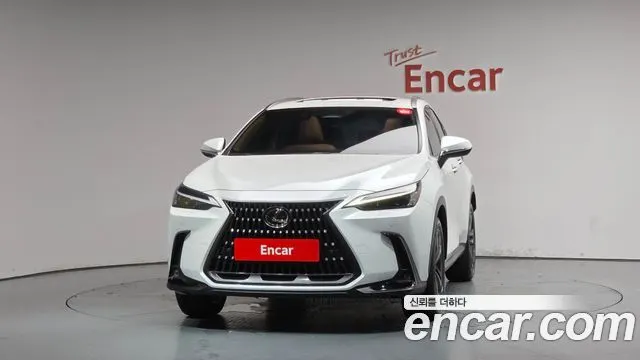 LEXUS NX350H 2025 — 12 489 км, белый, Корея — под ключ — фото 3