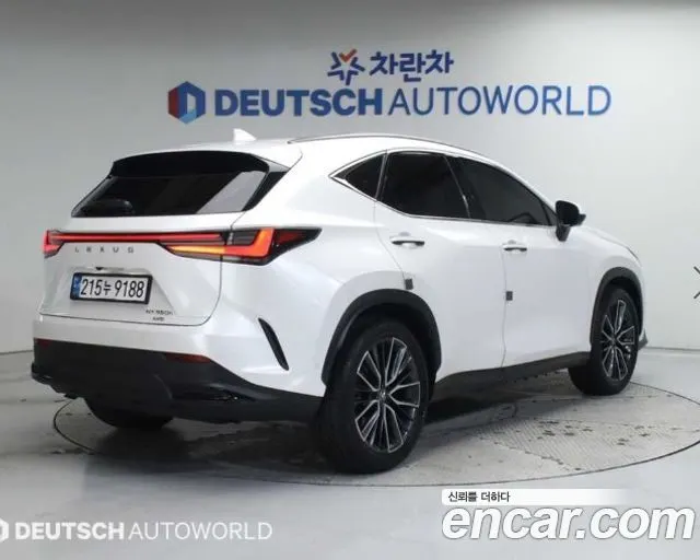 LEXUS NX350H 2025 — 7 200 км, белый, Корея — под ключ — фото 2