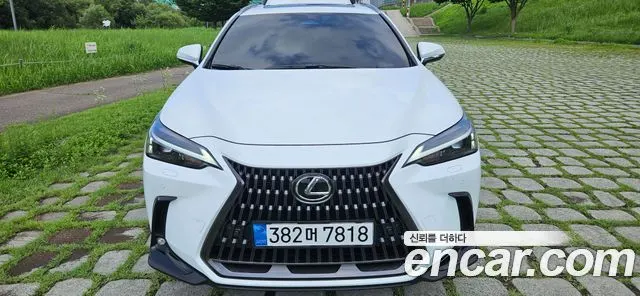 LEXUS NX350H 2026