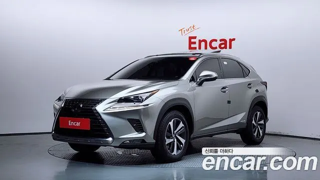 LEXUS NX300H 2019