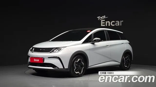 BYD DOLPHIN — из Кореи под ключ