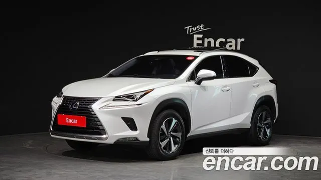 LEXUS NX300H 2019 — 74 860 км, белый, Корея — под ключ — фото 1