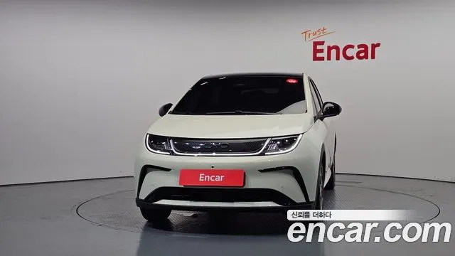 BYD DOLPHIN 2026 — 1 657 км, белый-перламутр, Корея — под ключ — фото 3