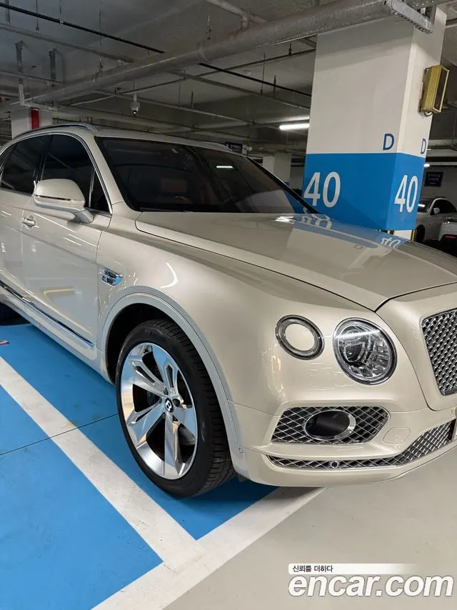 BENTLEY BENTAYGA 2017 — 71 000 км, белый-перламутр, Корея — под ключ — фото 12