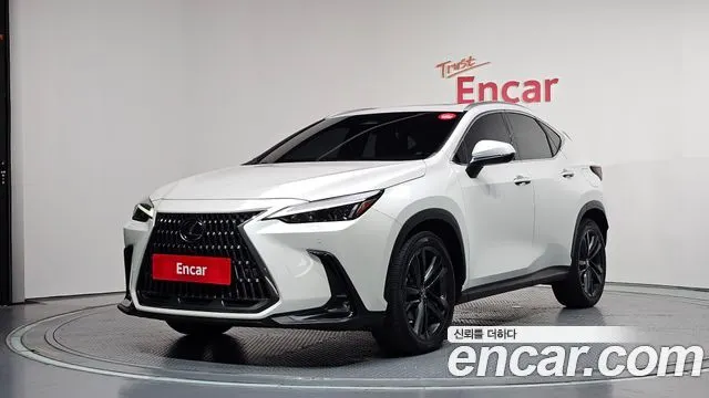 LEXUS NX350H 2023