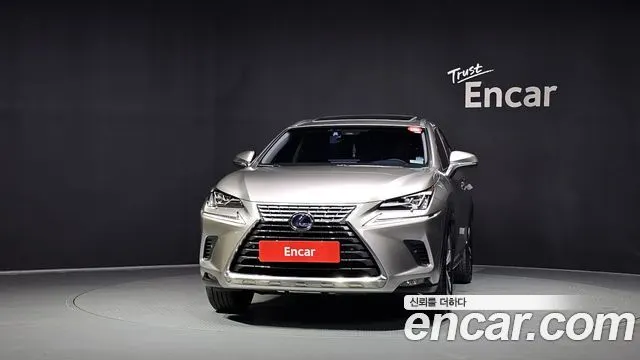 LEXUS NX300H 2019 — 94 874 км, серебристо-серый, Корея — под ключ — фото 3