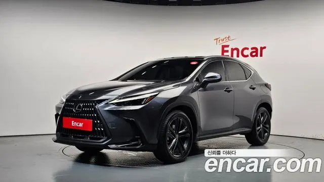 LEXUS NX350H 2024