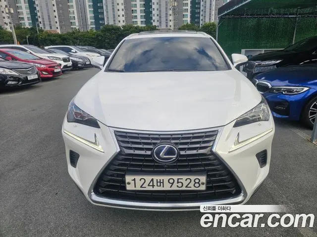 LEXUS NX300H 2021