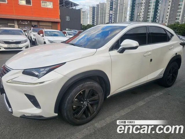 LEXUS NX300H 2021 — 88 110 км, белый, Корея — под ключ — фото 3