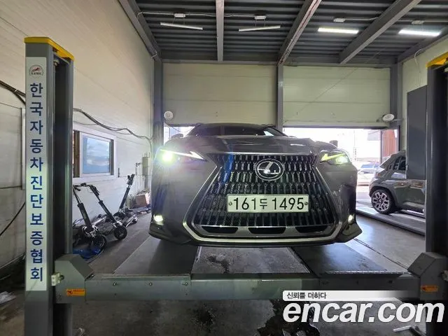 LEXUS NX350H 2022