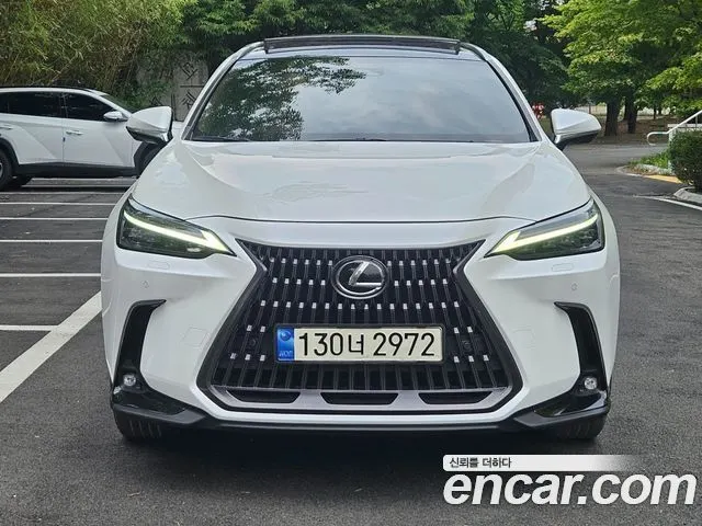 LEXUS NX350H 2024 — 50 526 км, белый, Корея — под ключ — фото 1