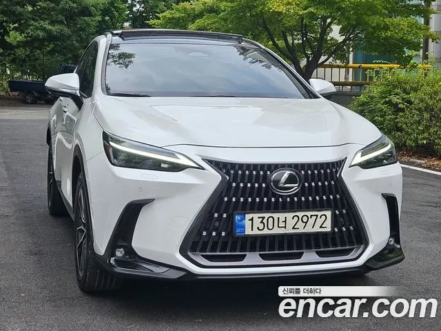 LEXUS NX350H 2024 — 50 526 км, белый, Корея — под ключ — фото 3