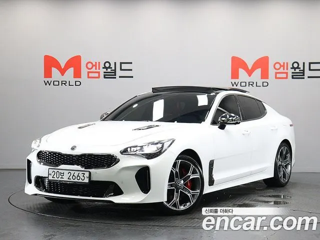 KIA STINGER 2018 — 63 810 км, белый, Корея — под ключ — фото 11
