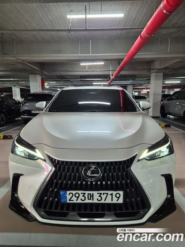 LEXUS NX350H — из Кореи под ключ