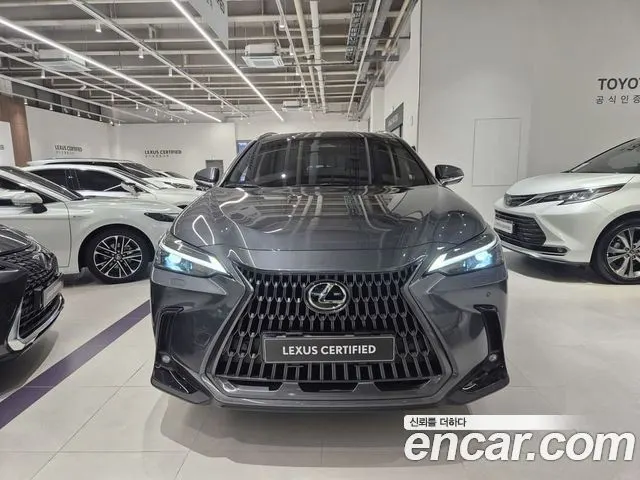 LEXUS NX350H 2025 — 4 223 км, серебристо-серый, Корея — под ключ — фото 3