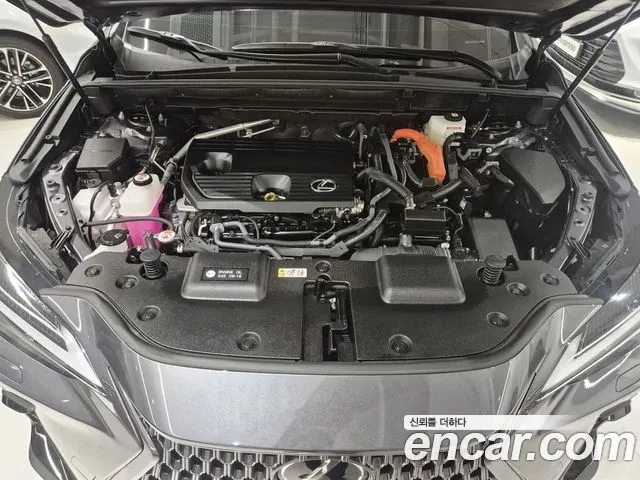 LEXUS NX350H 2025 — 4 223 км, серебристо-серый, Корея — под ключ — фото 6