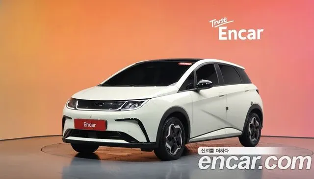 BYD DOLPHIN 2026 — 1 732 км, белый-перламутр, Корея — под ключ — фото 2