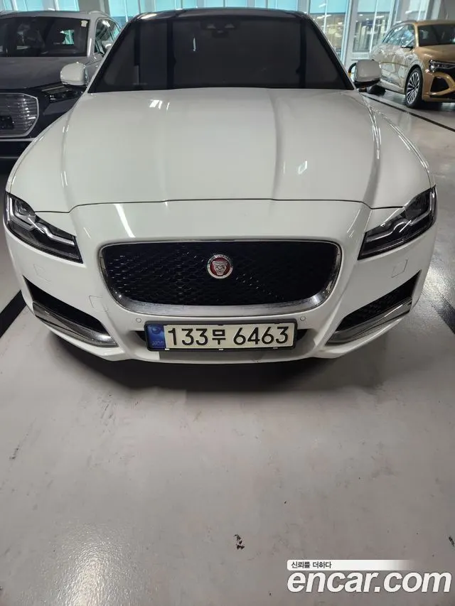 JAGUAR XF — из Кореи под ключ