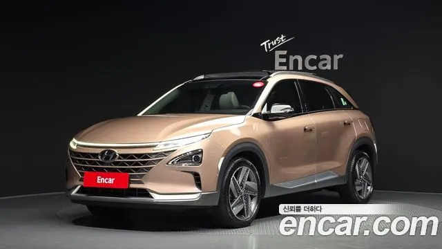 HYUNDAI NEXO 2021 — 90 404 км, коричневый, Корея — под ключ — фото 1