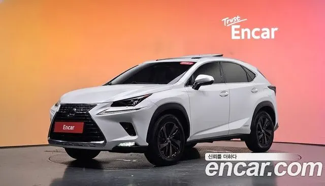 LEXUS NX300H 2019 — 128 169 км, белый, Корея — под ключ — фото 2