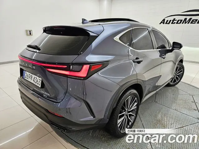 LEXUS NX350H 2024 — 38 958 км, серый, Корея — под ключ — фото 5