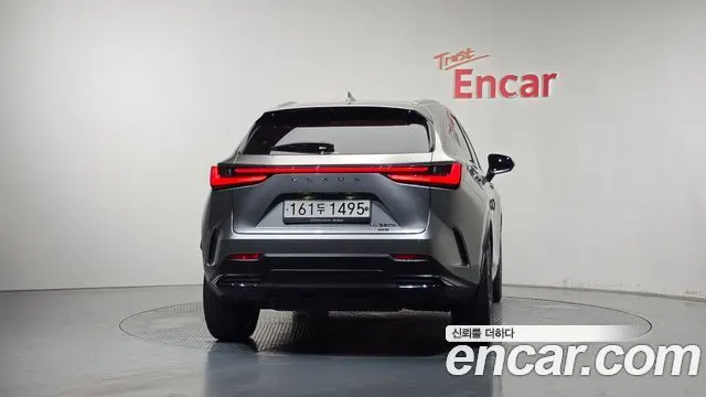 LEXUS NX350H 2022 — 63 019 км, светло-золотистый, Корея — под ключ — фото 4