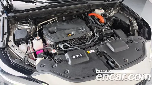LEXUS NX350H 2022 — 63 019 км, светло-золотистый, Корея — под ключ — фото 6